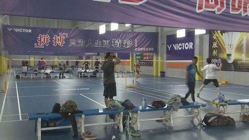 愛打羽毛球的你,崇明這里多了個(gè)羽毛球館